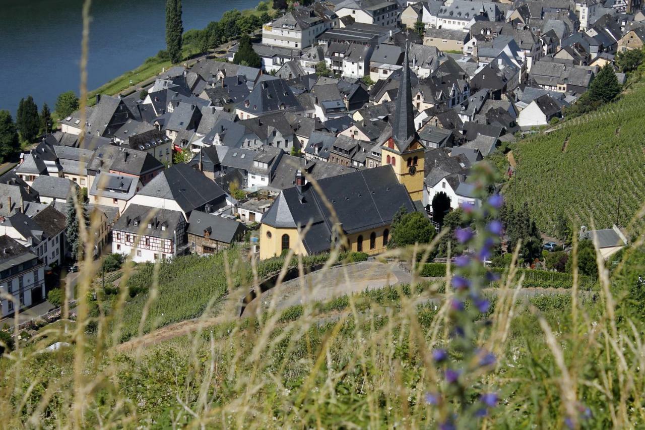 Ferienhaus Moselblick Mit Kostenfreien Oepnv-Ticket Ürzig Eksteriør bilde
